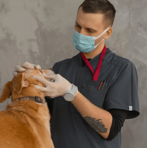Health Check (Dog)
