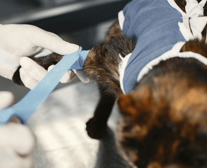 Surgery (Including Medical Boarding of 2 Days)