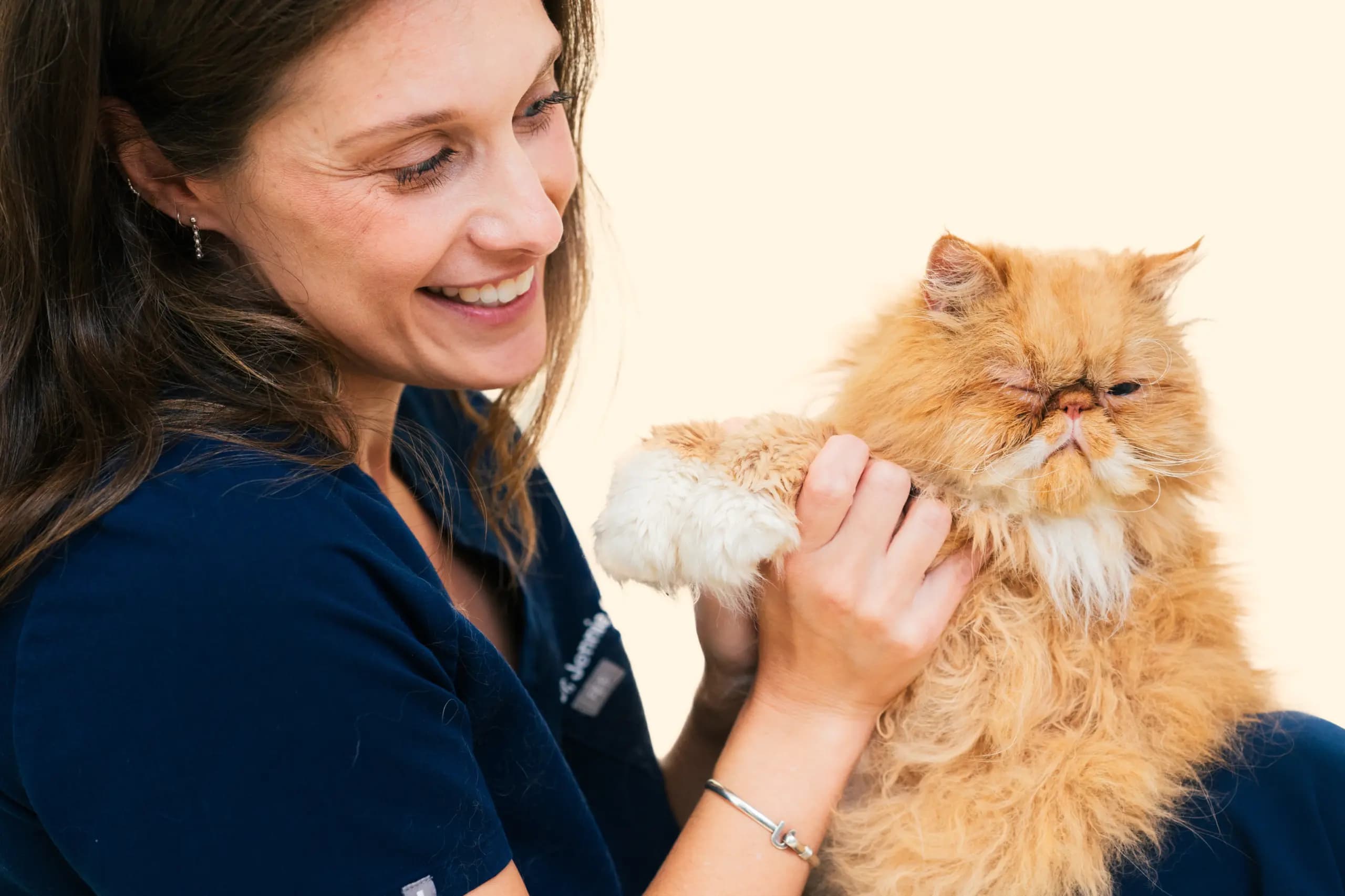 Veterinarian examining a dog